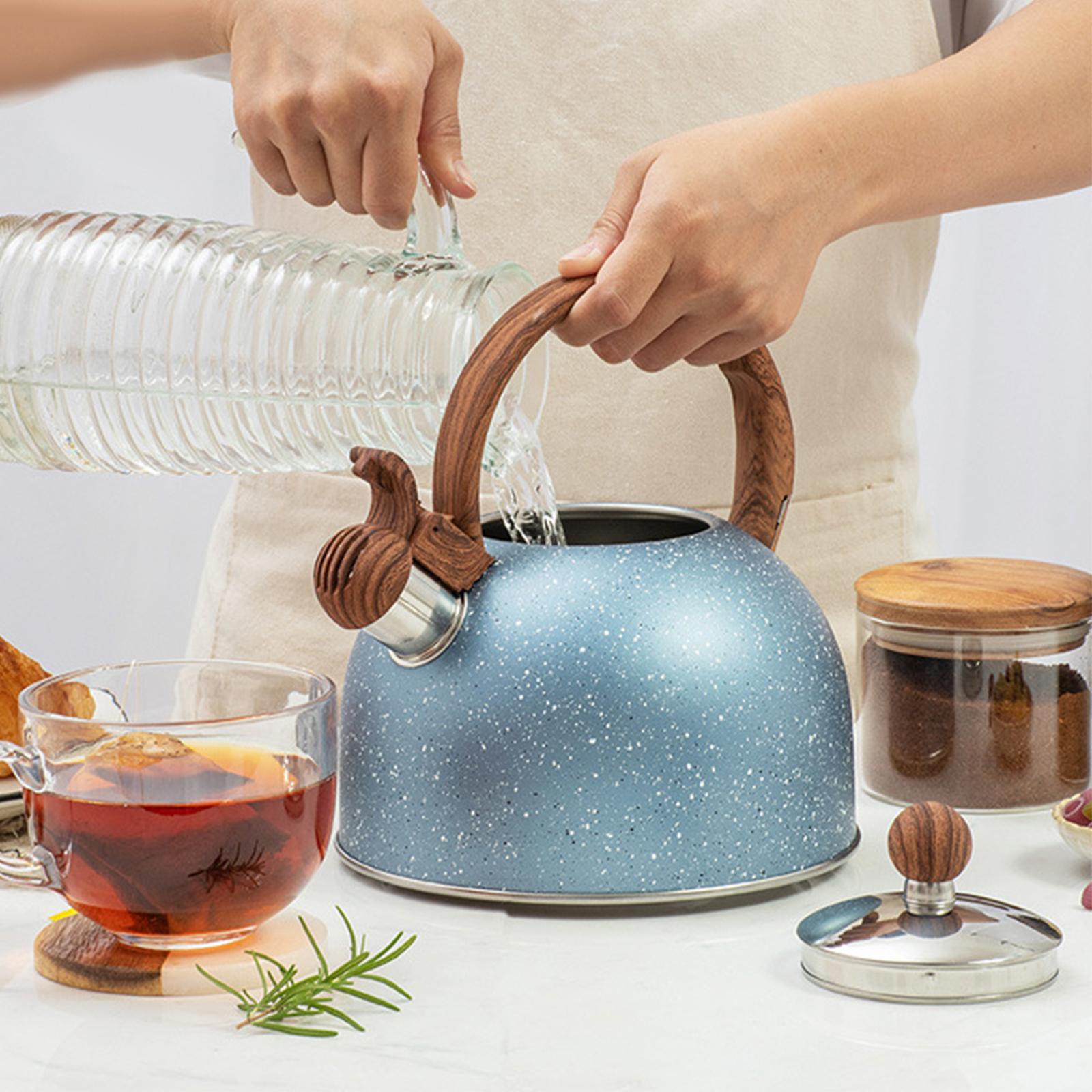 Waterkoker voor op het fornuis - Coffee Tea Etc recensie en prijs