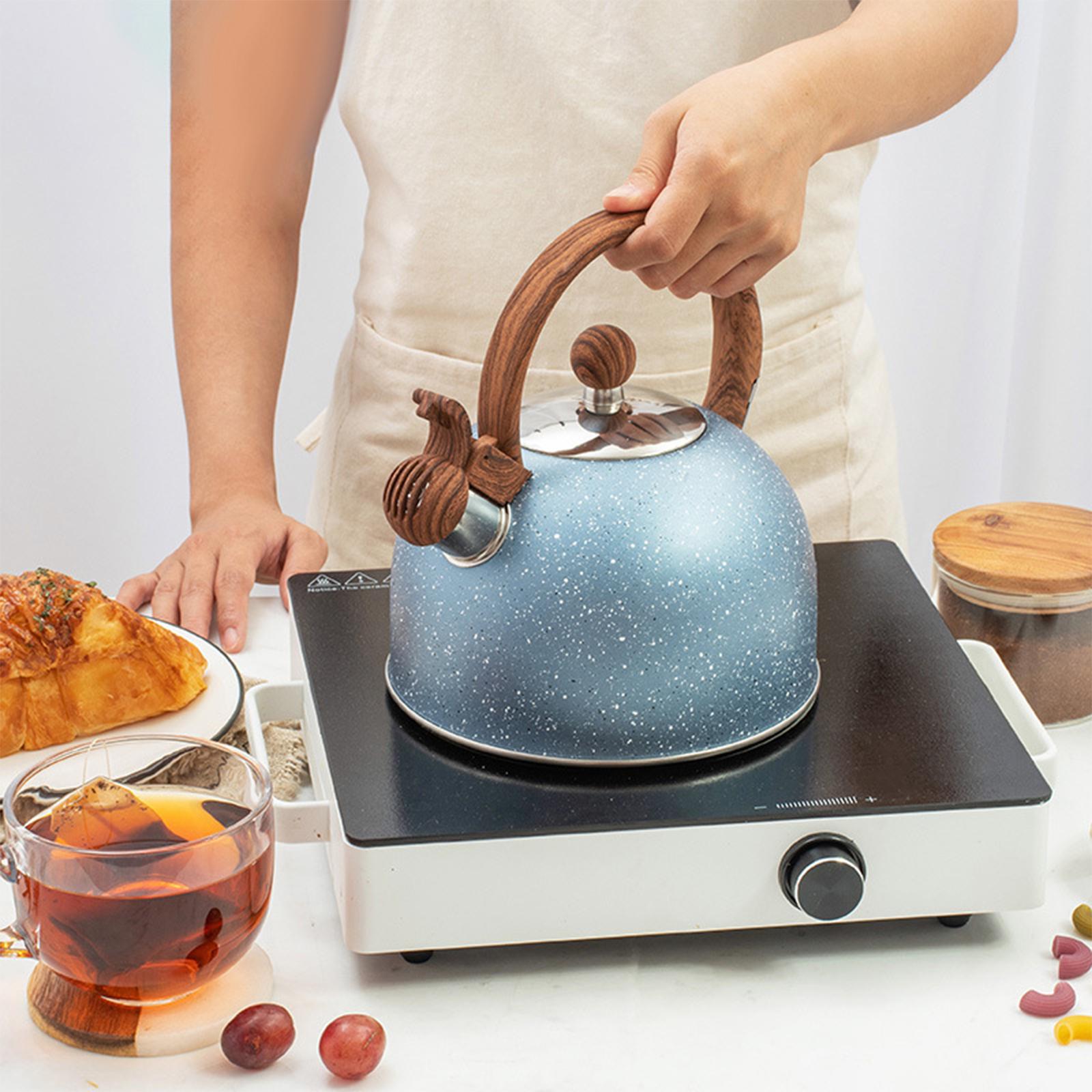 Waterkoker voor op het fornuis - Coffee Tea Etc recensie en prijs