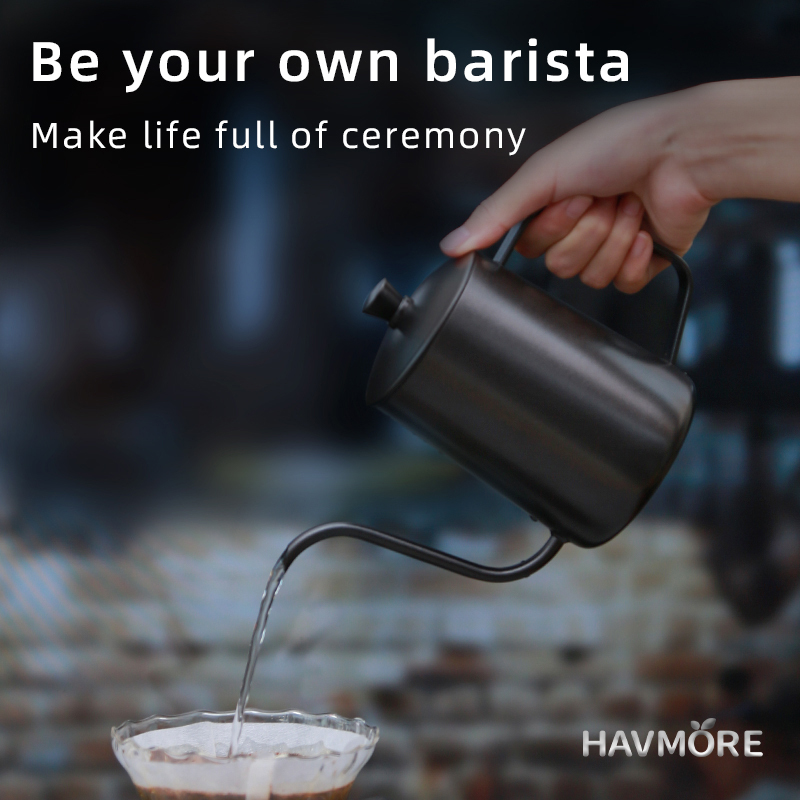 HAVMORE 304 roestvrijstalen th - Tea And Coffee Kettle recensie en prijs